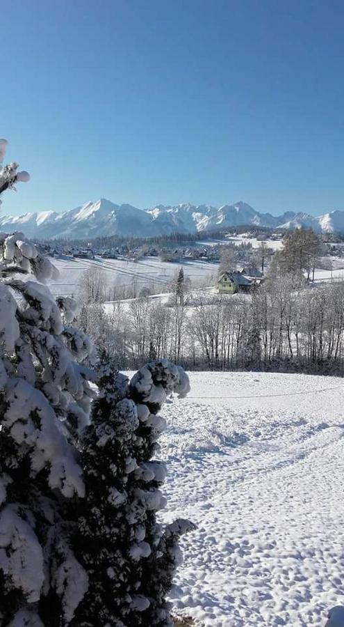 Villa Agrotatry U Stachy Bukowina Tatrzańska Exterior foto