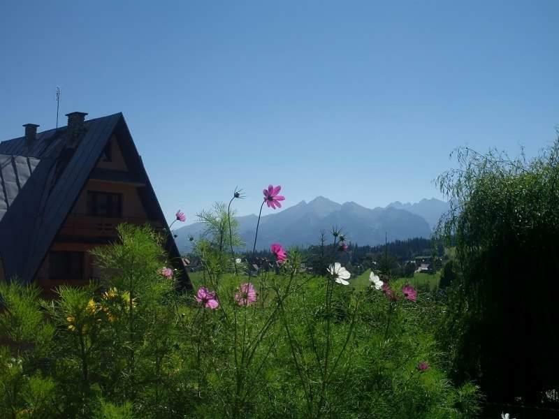 Villa Agrotatry U Stachy Bukowina Tatrzańska Exterior foto