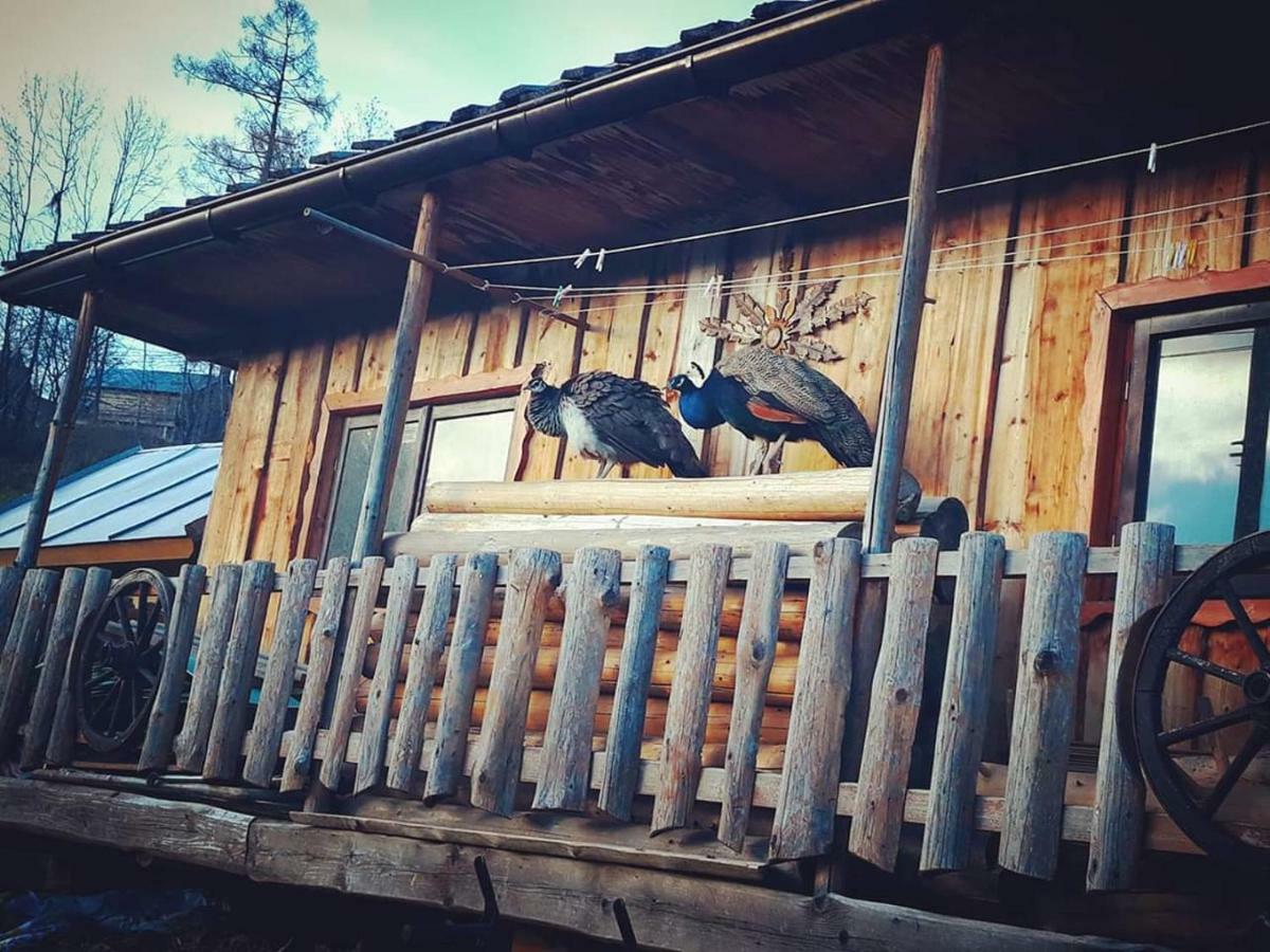 Villa Agrotatry U Stachy Bukowina Tatrzańska Exterior foto